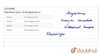 Filariform larva of Ancylostoma is [upl. by Patrizio]