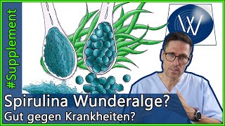 Wunderalge Spirulina Welche Auswirkungen hat das Superfood auf Immunsystem amp unsere Gesundheit [upl. by Anahahs]