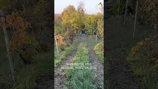 IDEALNA VIKENDICA sa prelepim pogledom realestate serbia nekretnine home property novisad [upl. by Elfstan]