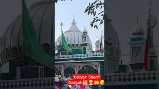 Kaliyar Sharif Dargah😘🤲👳‍♀️🕌❤ song music live newsong [upl. by Eirameinna]