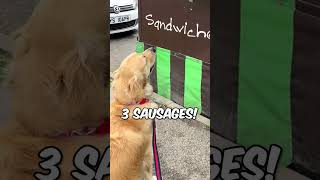 This dog knows how to order food in an amazing way 😱 [upl. by Frederico]