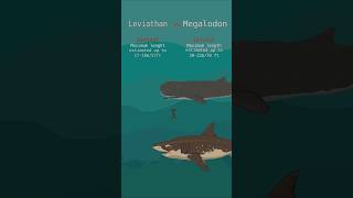 Megalodon vs Leviathan Prehistoric sea monsters size comparison [upl. by Aridatha]