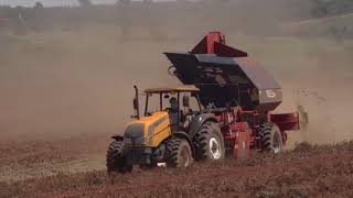 Peanut harvester  thresher  Double Master III  Sweere [upl. by Aubree]