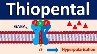 Thiopental  An IV anesthetic [upl. by Eened]