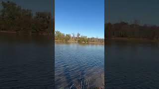 Potomac River Algonkian Park Today 11082024 [upl. by Eibbil18]