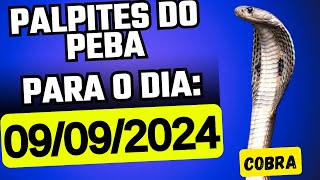 PALPITE DO PEBA  Palpites Jogo Do Bicho  09092024 SEGUNDAFEIRA [upl. by Leavitt]