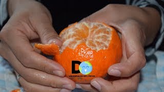 Nunca más tirarás las cáscaras de naranja después que conozcas sus usos y beneficios [upl. by Ardnuahc976]