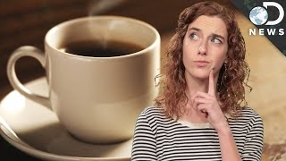 How Coffee is Decaffeinated [upl. by Yelahs]