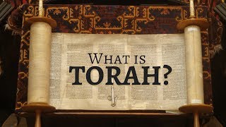 What is Torah [upl. by Adihaj]