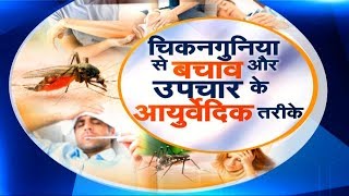 Sanjeevani  Chikungunya चिकनगुनिया से बचाव और उपचार के Ayurvedic तरीके [upl. by Analah]