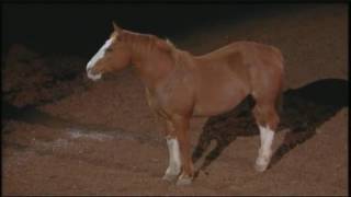 Beautiful tribute to bucking horses at RodeoHouston [upl. by Airlie698]