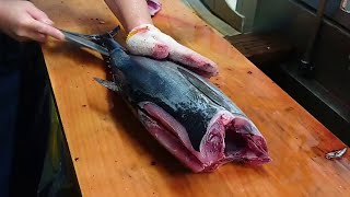 Bonito Fish Filleting Sashimi Making [upl. by Nyrrat]