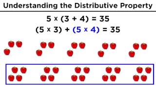 The Distributive Property for Arithmetic [upl. by Ahcim]