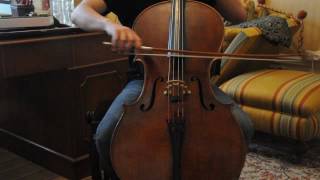 French cello bow JF Daber cellose [upl. by Lyrak]