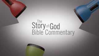 The Story of God Bible Commentary Series [upl. by Nnainot]