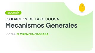 Mecanismos Generales  Biología  Oxidación de la Glucosa  V1  Egg Educación [upl. by Enahs659]