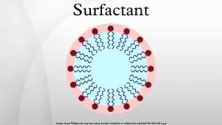 Surfactant [upl. by Googins]