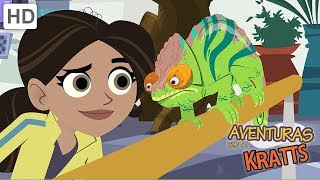 Aventuras com os Kratts  Serpentes e Pássaros na Selva [upl. by Pieter]