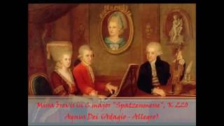 Agnus Dei Spatzenmesse Mozart [upl. by Launcelot]