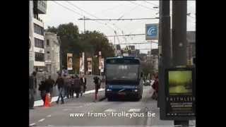 Trolleybus net in Arnhem [upl. by Steffane]