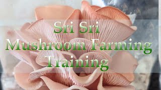 Sri Sri Mushroom Farming Training [upl. by Annahsad]