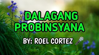 Dalagang Probinsyana  Roel Cortez KARAOKE VERSION [upl. by Humfrid66]