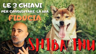 SHIBA INU  3 cose che DEVI assolutamente SAPERE se vuoi EDUCARE il tuo SHIBA INU [upl. by Logan]