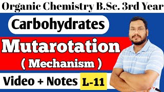 Mutarotation with Mechanism Carbohydrates BSc 3rd year organic chemistry [upl. by Stafford]