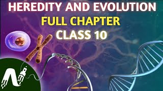 HEREDITY AND EVOLUTION ONE SHOT  HEREDITY AND EVOLUTION FULL CHAPTER CLASS 10TH short video [upl. by Isidoro193]