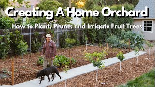 How to Plant Prune and Irrigate Fruit Trees EVERYTHING YOU NEED TO KNOW [upl. by Pattani]