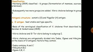 Vibrio cholerae [upl. by Nedearb]