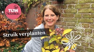 Struik verplanten  Tuinseizoen [upl. by Orlan]