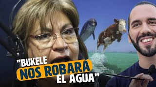 Gorgojos creen que Bukele se Robara el agua del Rio Lempa [upl. by Arber]