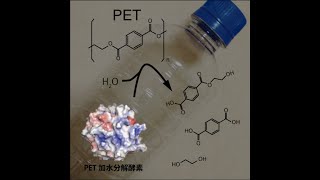 静岡大学農学部『プラスチック分解酵素の開発』生命機能分子研究室 [upl. by Gillett521]