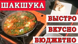 ШАКШУКА на сковороде  Быстро недорого и очень вкусно  рецепт классический пошагово [upl. by Ahseuqram]