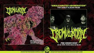 CREMULATION  AMALGAMATED ABOMINATION Iron Fortress Records [upl. by Esenaj]