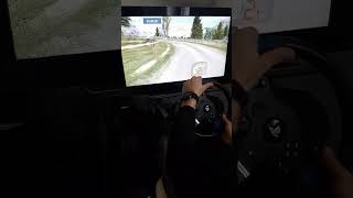 Thrustmaster Rally eRacing WRC SIMRACING shorts goviral [upl. by Miksen]