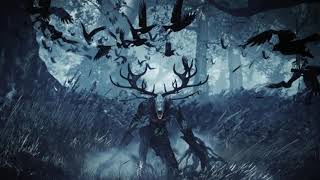 The Witcher 3 Wild Hunt OST  The Fields of Ard Skellig Extended [upl. by Stryker]