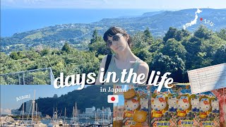 japan diaries  escapada a la peninsula de izu  shibuya amp enoshima [upl. by Refinnaj]