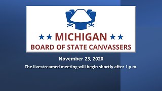 Michigan Board of State Canvassers [upl. by Ahseat]