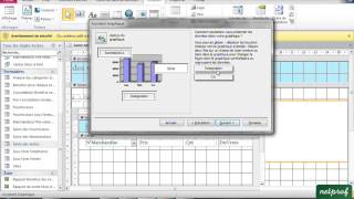 91 Créer un graphique sur un formulaire [upl. by Sophronia554]