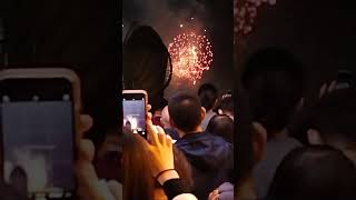 The Chinese New Year fireworks 🎆chachamarieshortvideo youtuber viralvideo hk fireworkdisplay [upl. by Weisberg]