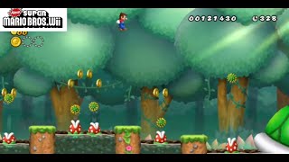 Again Violating The Laws Of Physics In New Super Mario Bros Wii [upl. by Haiel868]