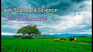 6th Standard Science Our Environment [upl. by Nwotna]