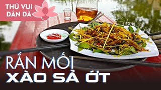 0405 Chi Loan làm Rắn Mối Xào Xả Ớt cực ngon l How To Cook Lizard [upl. by Novyert]