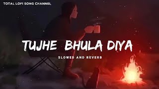 Har Pal Har Lamha Main Kaise Sehta Hoon  Lofi  Tujhe Bhula Diya  Mohit Chauhan  Total Lofi Song [upl. by Ardnalak]