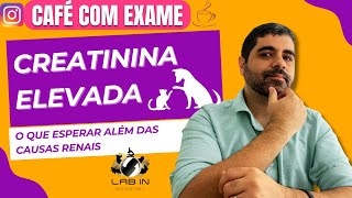 CREATININA ELEVADA EM CÃES E GATOS O QUE ESPERAR ALÉM DAS CAUSAS NÃO RENAIS [upl. by Akenal479]