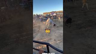 DOLAR DE GUANAJUATO VS TORO EL ROMPOPE💯💥 jaripeo shorts [upl. by Valentine907]