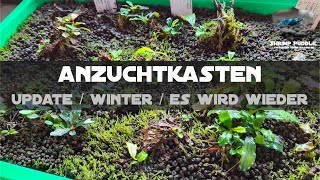 ANZUCHTKASTEN UPDATE 5  WINTER  NEUE CHANCEN [upl. by Caren]