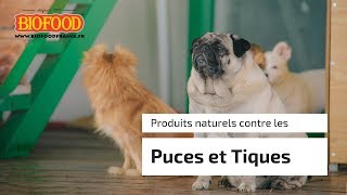 Produits ANTI puces amp tiques naturels [upl. by Kilgore563]